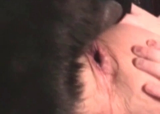 Animal nicely impaled her juicy cunt
