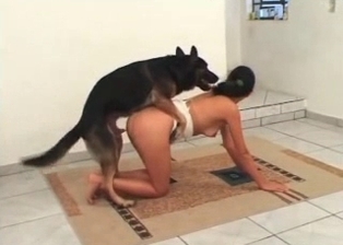 Zoophile sex games with my wife