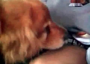 Pink vag fucked with a massive pecker of a pooch