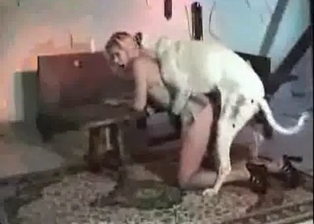 Tyke in the gorgeous animal porn XXX