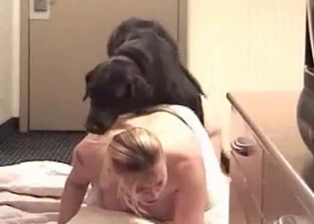 Dog is addicted to filthy bestiality porn