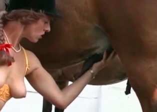 Dirty jockey and a stallion